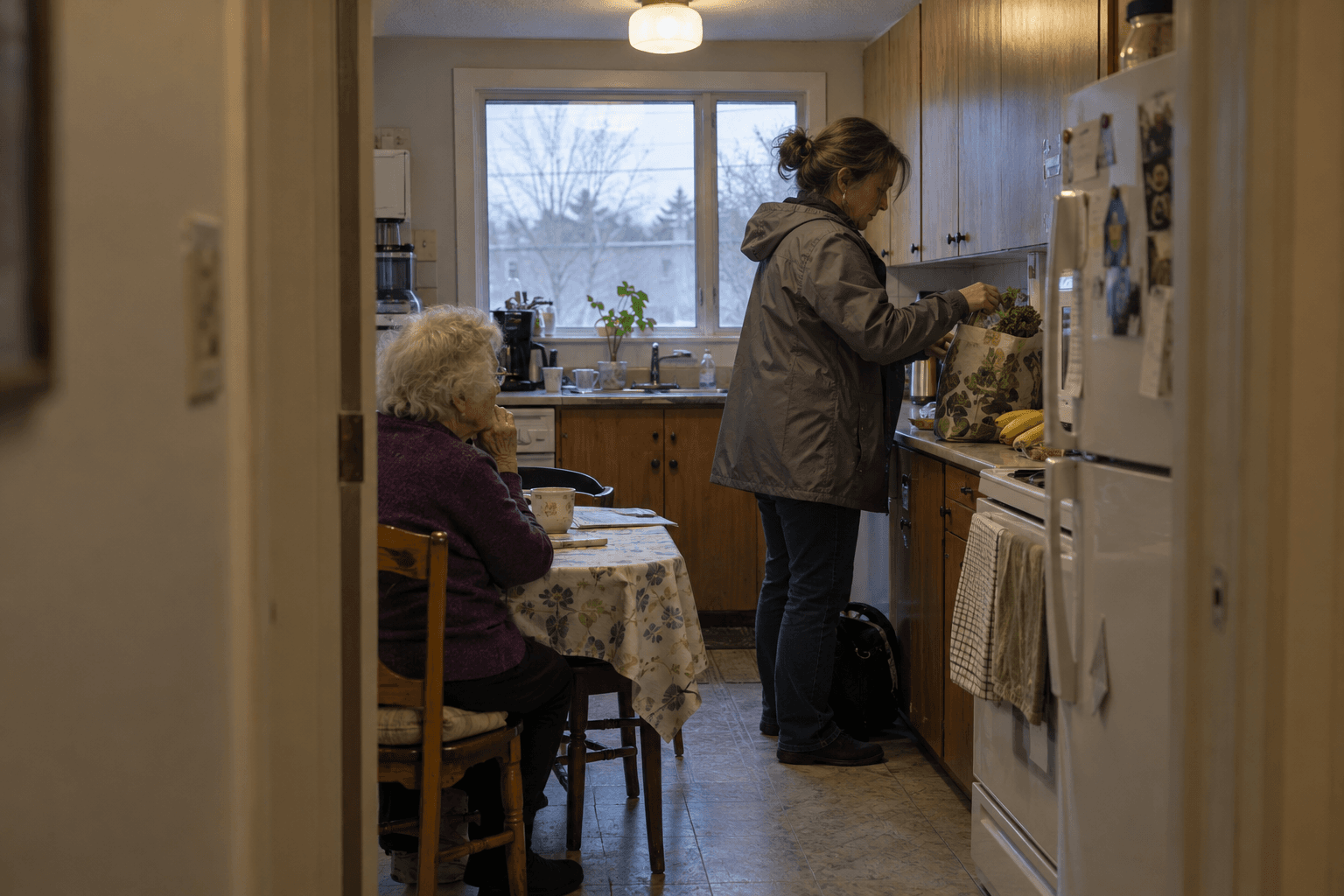 A daughter bringing groceries into her mother's kitchen.